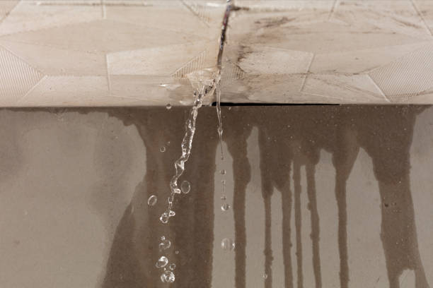 Professional Flood Damage Cleanup technician working in Grays River, WA